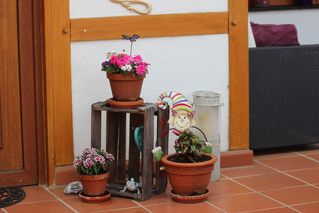 Haus Winkelchen Villa Cochem Kültér fotó